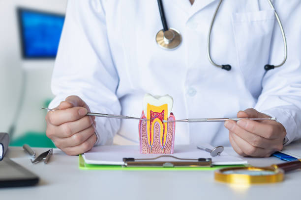 Best Emergency Root Canal Treatment in Chelsea, MA